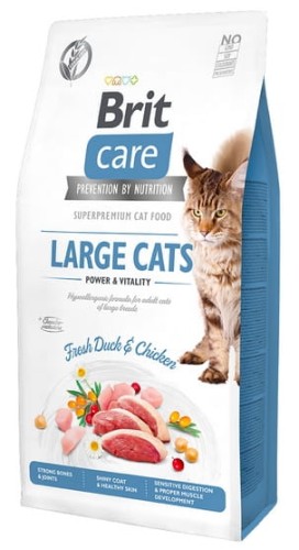 Przejdź do produktu Brit Care Cat Grain Free Large Cats Power & Vitality 2kg - karma sucha dla kota