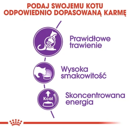 1cfe6fbe9c4b8bc01fb7b81c3826f89e