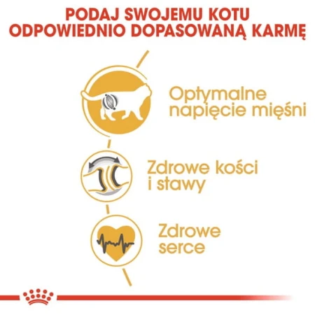 bda22e4e1b6f4c28fda716f429909097