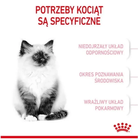 91bcc9087b0adbeb3cb77e4944273fac