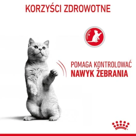 3df929534cf802d0f706c7892f1e2b36