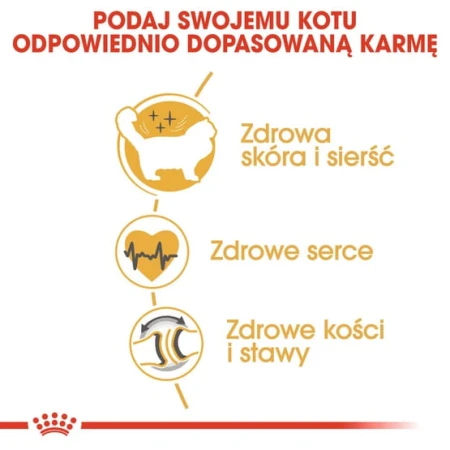 0a5958c7540c3428ecdbd888d1d4988b