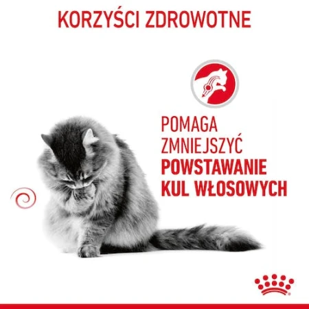 e516dbe7d242678e39f6af0143181733