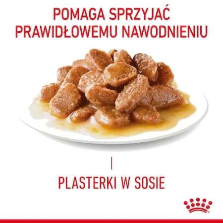 a3a3fd5b72522cd03457c4c8d9af3203