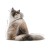 5a623cd409841a80864b00cee690cbfa