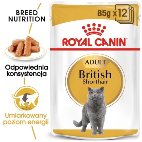 Przejdź do produktu Royal Canin British Shorthair – karma mokra w sosie dla kotów dorosłych rasy brytyjski krótkowłosy saszetka 85g