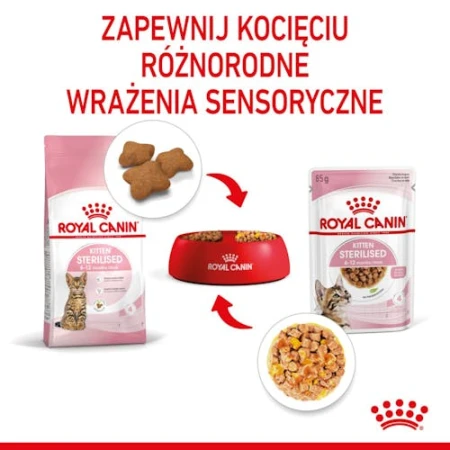 2e3dc37033bb444aea0c01695846959b