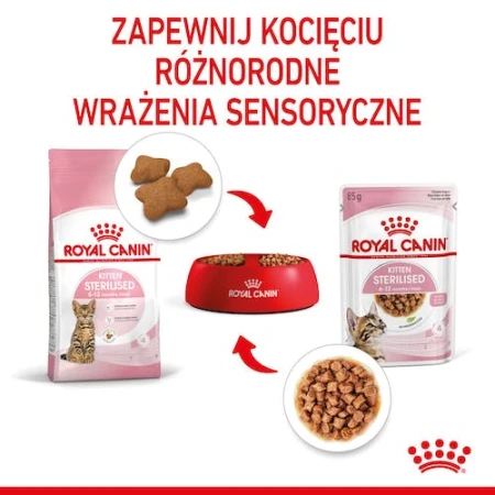1ca02aa85452824ea6238f07522c5139