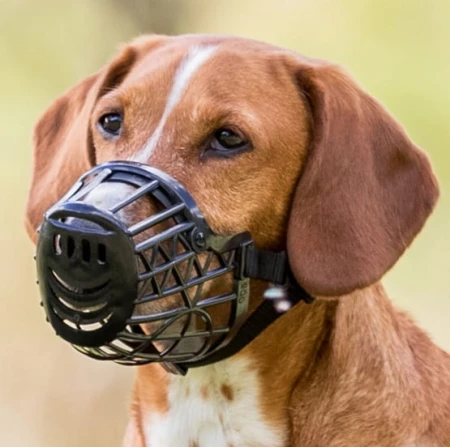 7da0a4ab30afa365397f48b5ea32518d