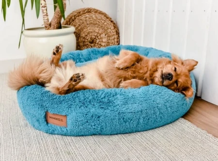 61e28c8a0fe3bef92f9b9f9022448122