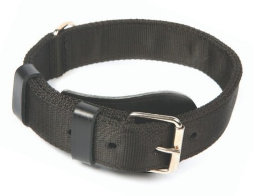 Przejdź do produktu Dingo Obroża specjalna z taśmy 4,0x55-65cm czarna