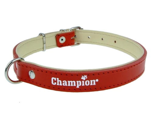 Przejdź do produktu Champion Obroża Skórzana na skórce czerwona SK/S 50/1,8 (R) [SOS]