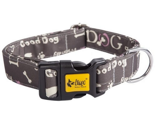 Przejdź do produktu Dingo Obroża regulowana America Nevada 4,0cm/75cm