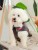 adf4f32f3db1664a1c244a5e483b1464
