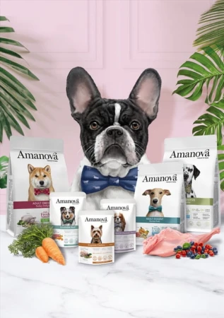9d35423f1a404ceec6f2d818d4b64946