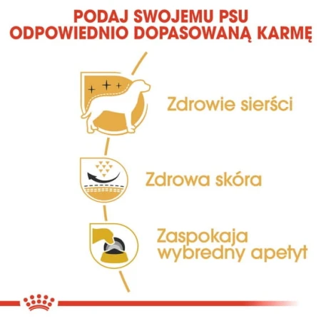 04da8e1ac9b429b148c97c0b9487fc3c