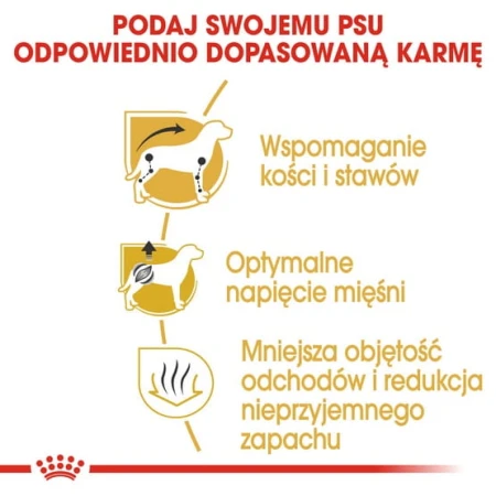 fffde14c5d3ce3fcfb4054744ef66945