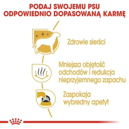 3523d1f1f29fd78a14f63fb333bb0149