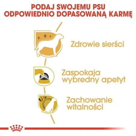 2b8ea1b5d345f175b60d6abf698eed16