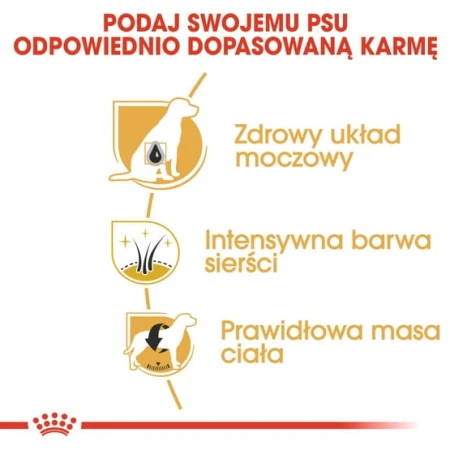 528ce9d45e3644ddb397bd9aab5ec85f