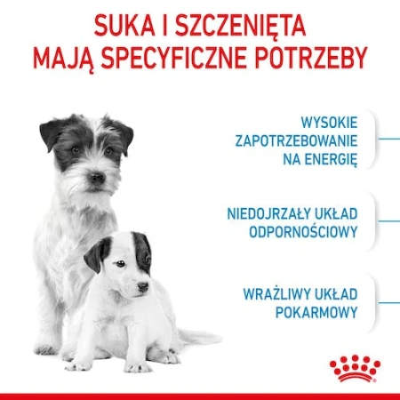 7ed56cf184ea0ba579bf04acd6041c7c