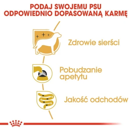 e5a992662db13c3a50386b7befbebd05