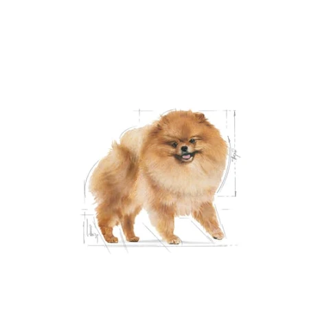 f2cd069dd86ac7364def5207b1922fdf