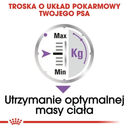 67f2c441b45d9c6342e1ea52d998b664
