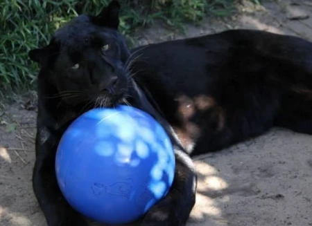 f144462c290b4906c58a939af2f8cbb1