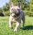 Chuckit! Eco Fetch Ball Small 2pak [37163] - zabawka dla psa