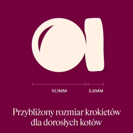 5afd9b10294446abb8a6e90af372637a