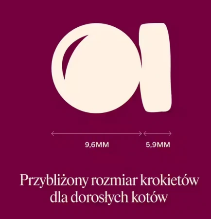 cc44f1bfbf9a9bec6a1718a71e428d36