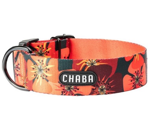 Przejdź do produktu CHABA Obroża regulowana Bull Story IV L/XL Opium
