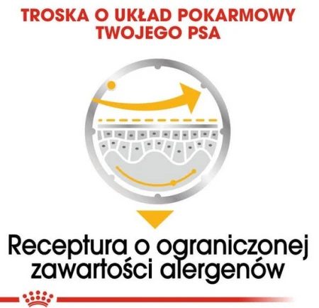 24af0165a2e97cf0df3b295ba2762171