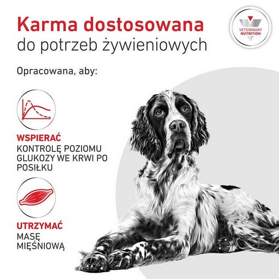 3bd185dd4d78ce52b2e1b952404bb413